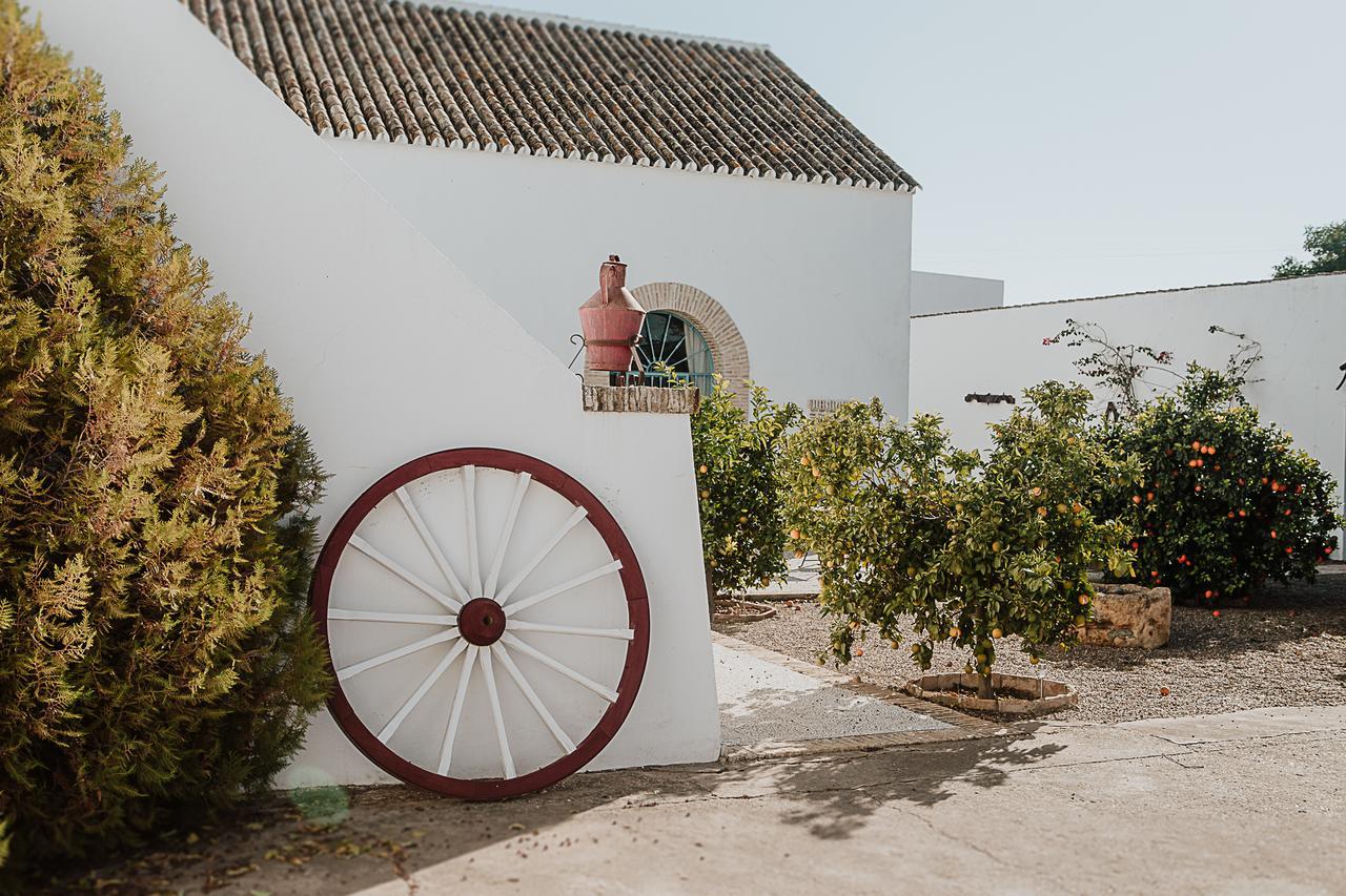 Cortijo Santa Clara Villa Carmona  Luaran gambar