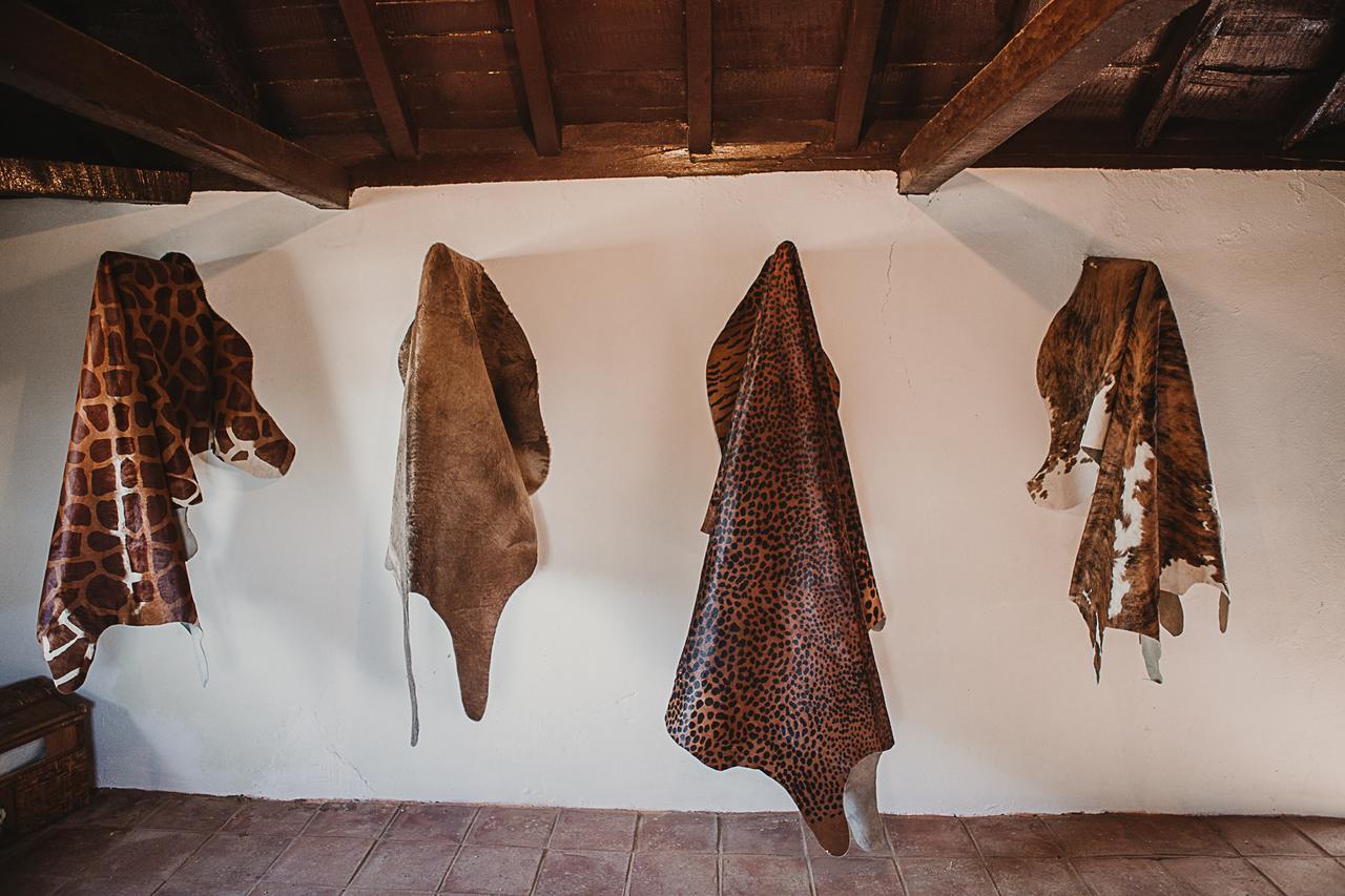 Cortijo Santa Clara Villa Carmona  Luaran gambar